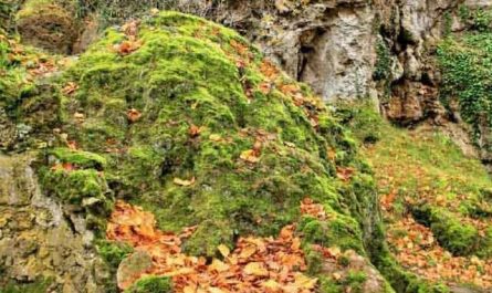 Pourquoi rêver de talus ?
