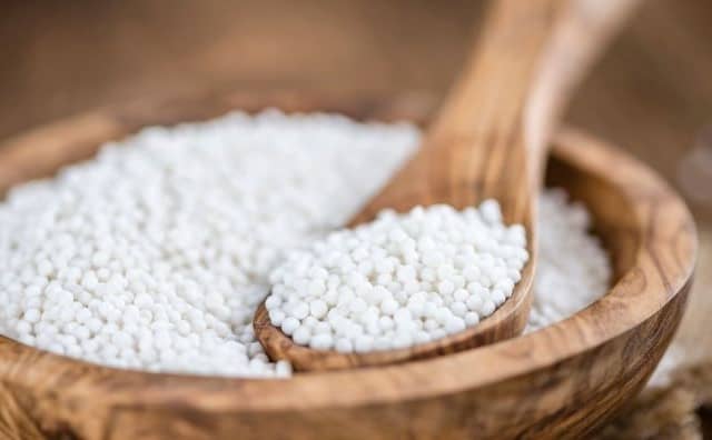 Rêver de tapioca
