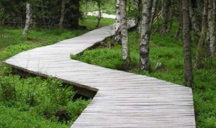 Pourquoi rêver de zigzag ?