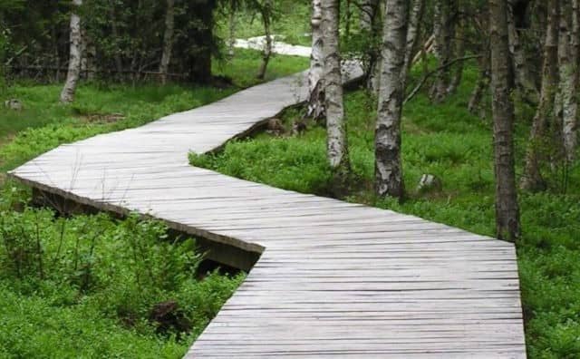 Pourquoi rêver de zigzag ?