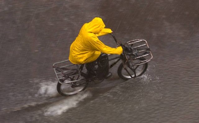 Rêver de manteau jaune